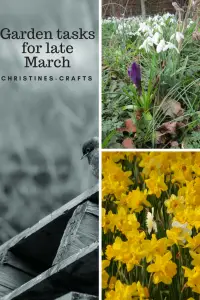 Garden Tasks for Late March