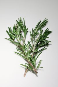 Rosemary