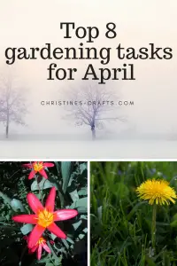 Top 8 gardening tasks for April