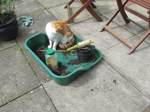 Emily helping in the garden