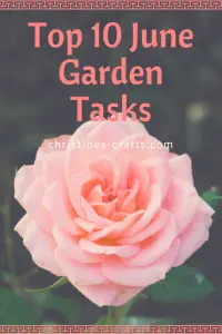 Top 10 June Garden Tasks 
