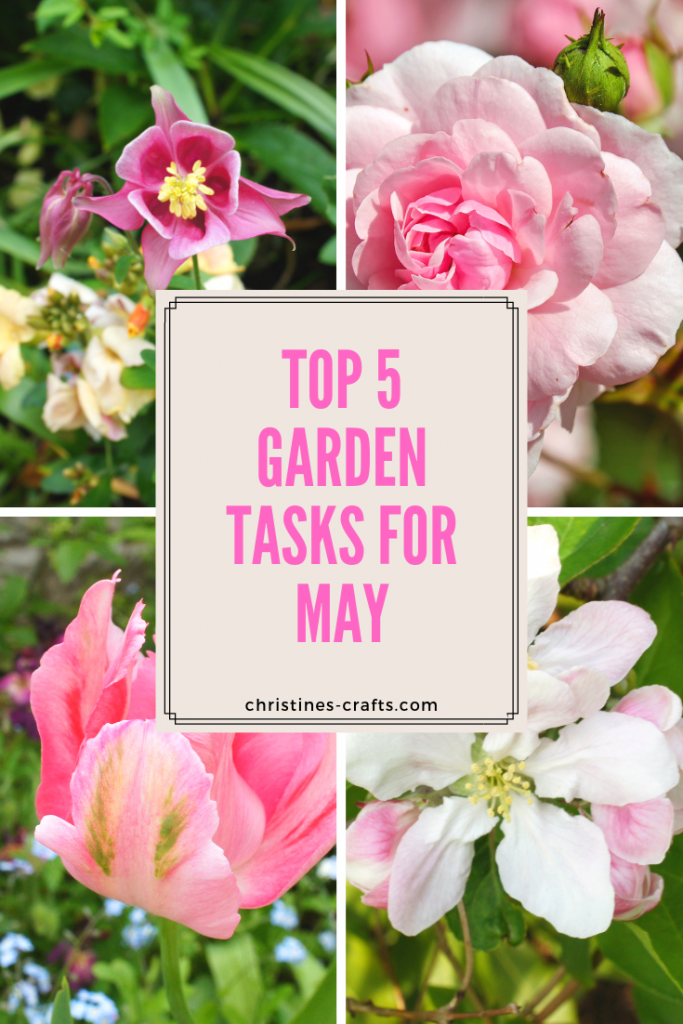 Top 5 Garden Tasks for May pin