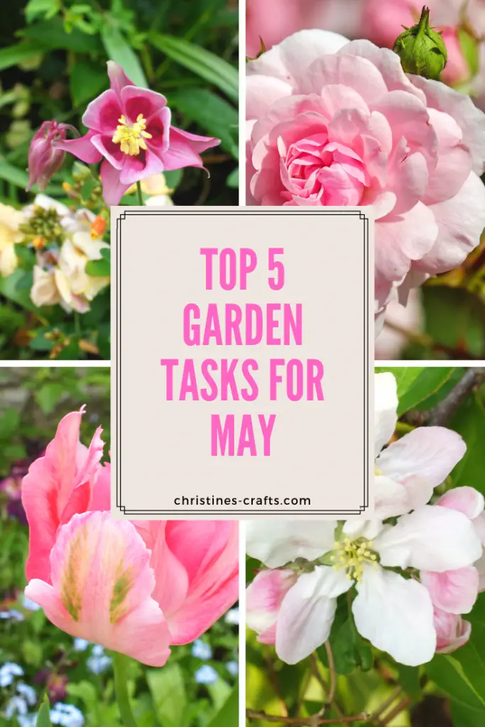 Top 5 Garden Tasks for May pin