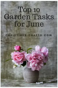 Top 10 Gardening Tasks for June
