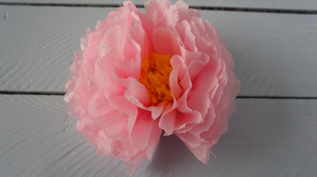 Pink Paper Peony