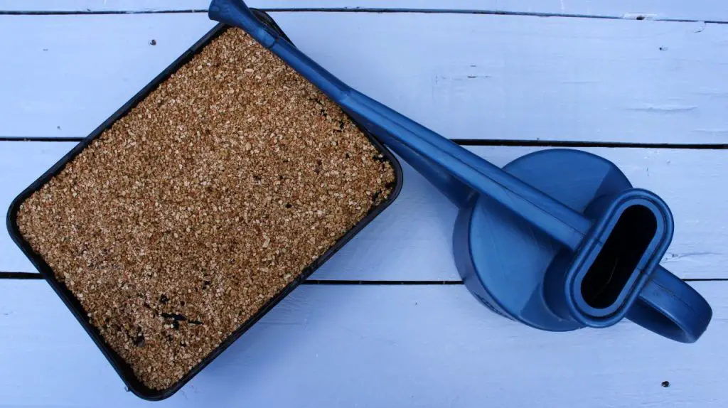 Tray and watering can