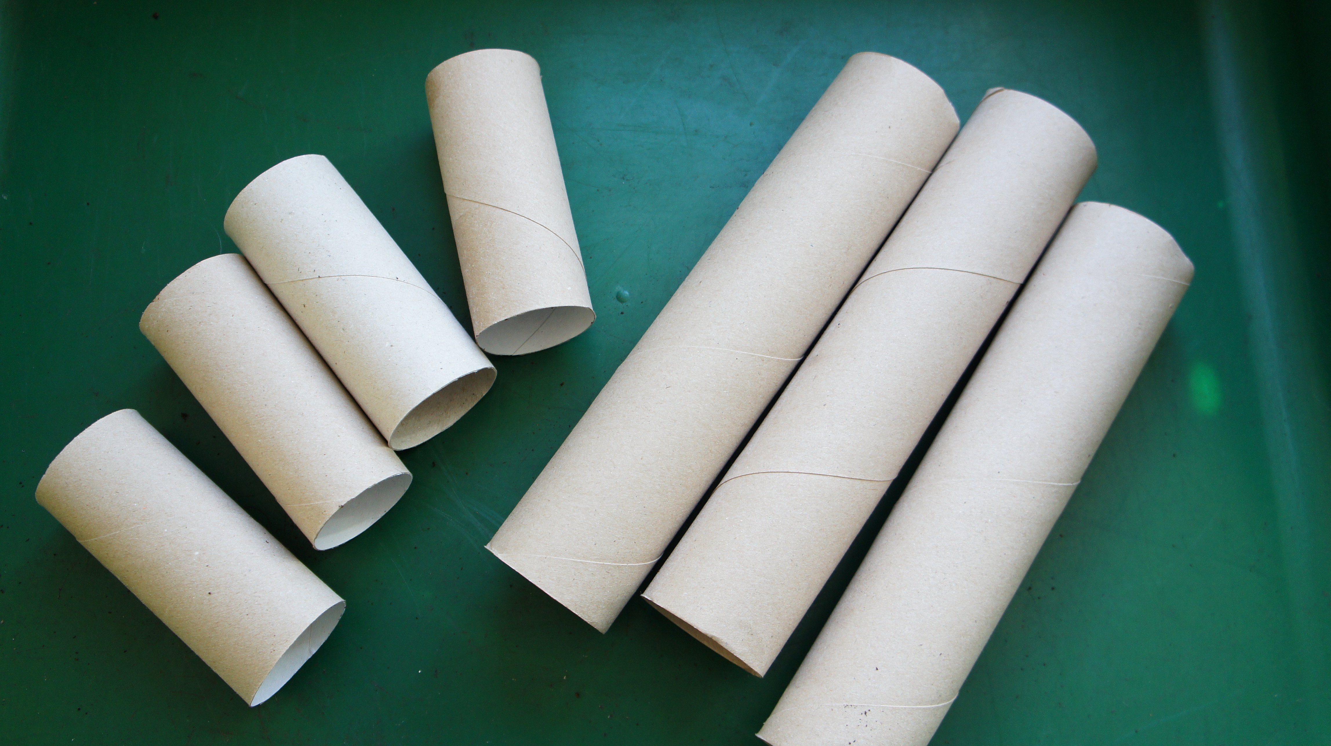 cardboard tubes