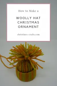 Woolly Hat Ornament Pin
