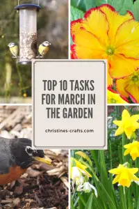 10 tasks for March with 4 pictures - bird on feeder, bird on ground and flowers