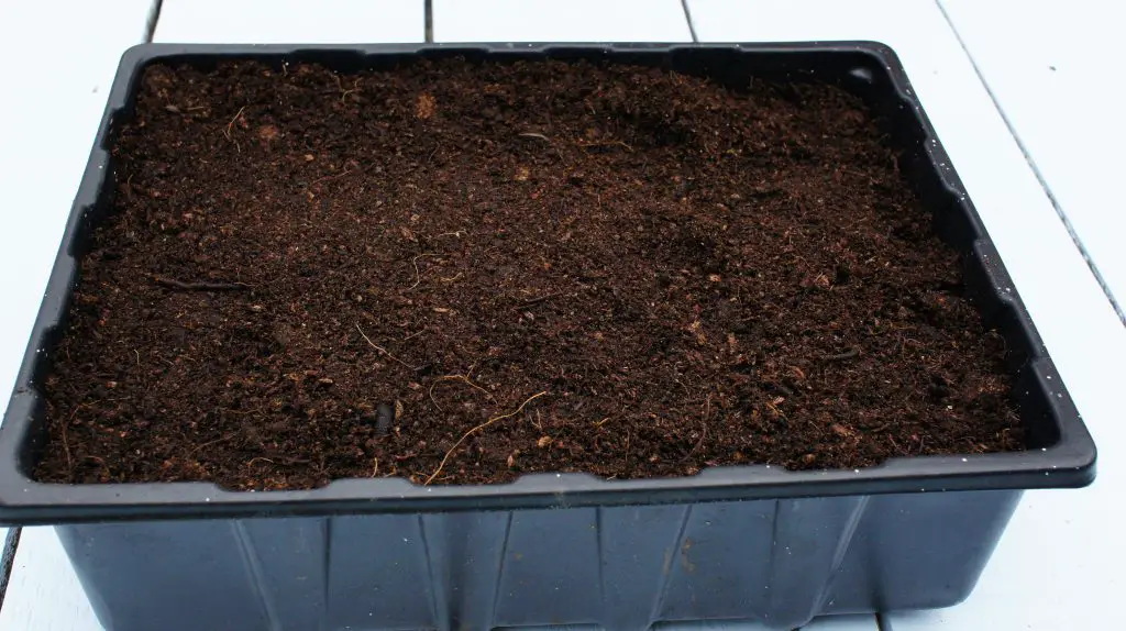 Seed Tray