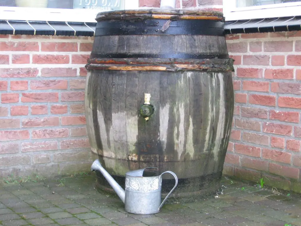 rain-barrel