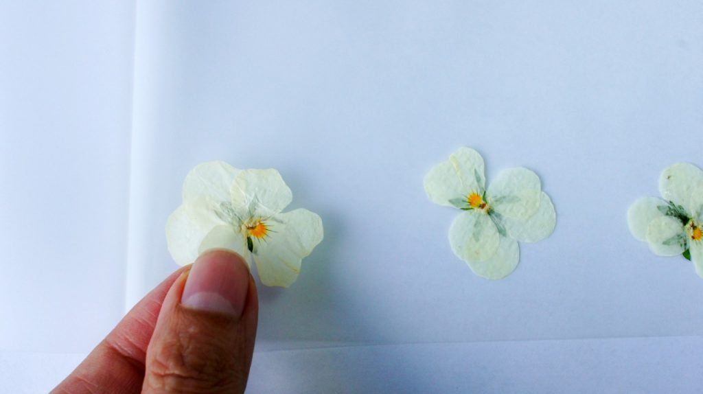 Arranging Flowers