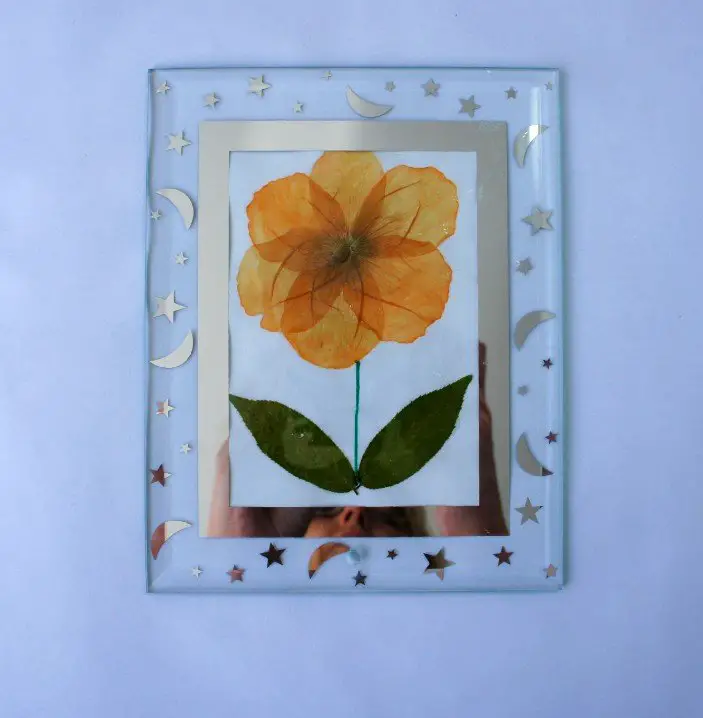 How to DIY Pressed Flower Art