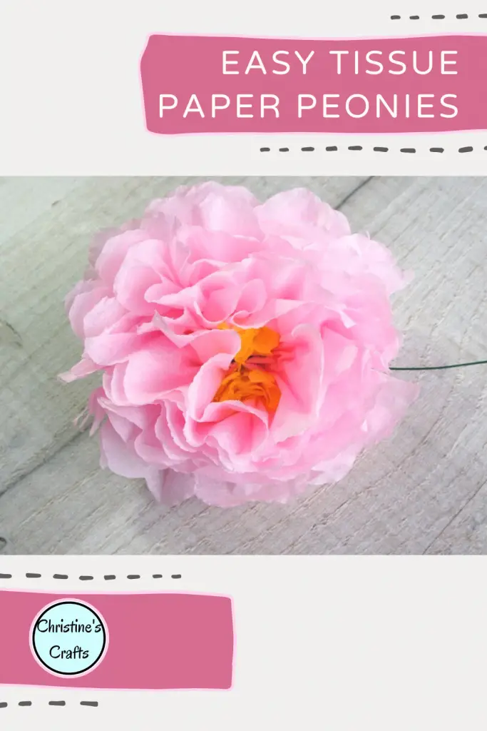 peony flowers pin1