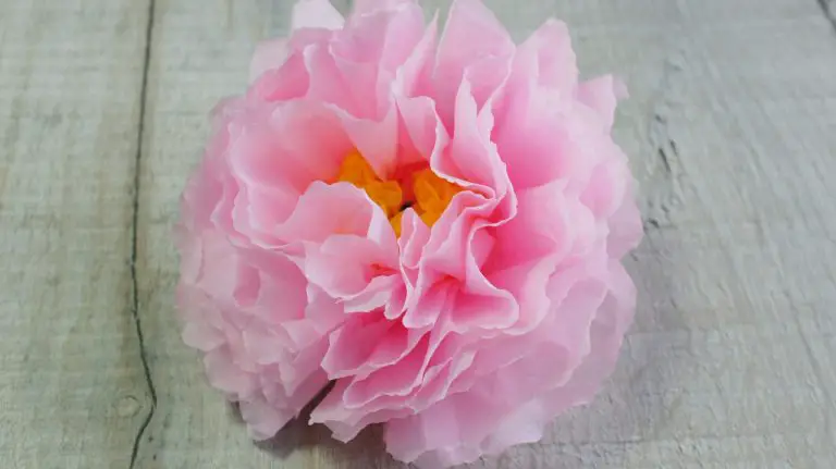 How to Make Tissue Paper Peony Flowers