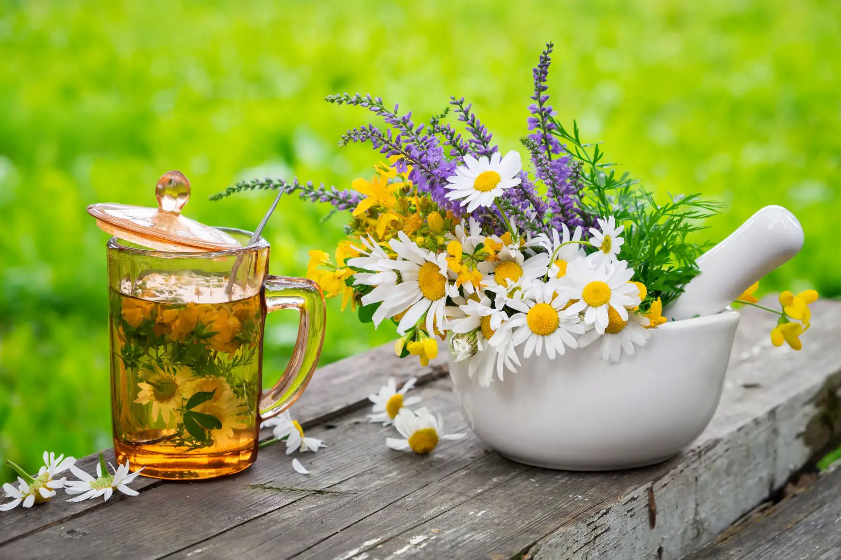 Apothecary Garden Harvest and Herbal Tea