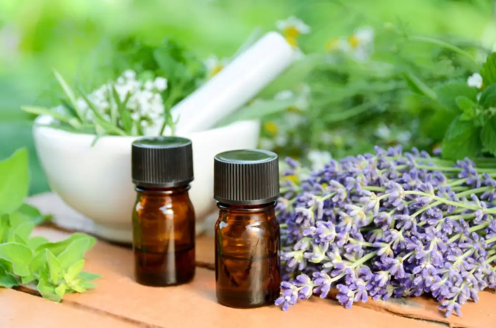 Lavender, Mortar and pestle and bottles for oil apothecary garden