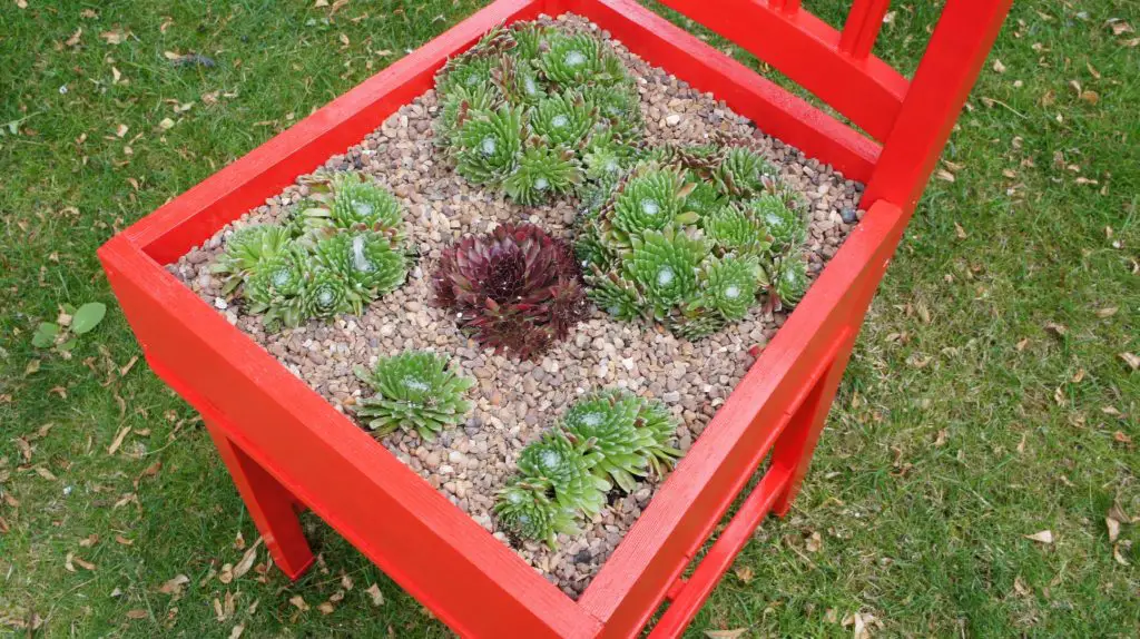 Add gravel layer to succulent garden idea