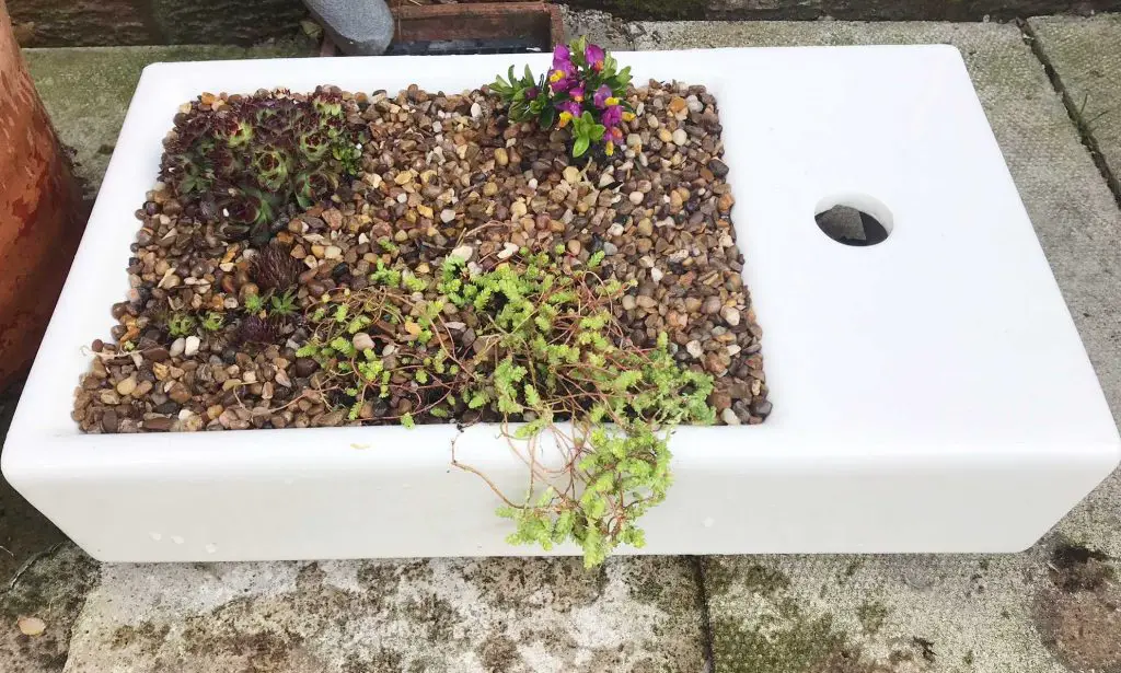 planted sink in situ