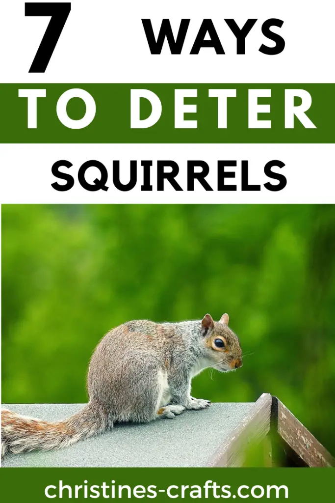 deter squirrels pin