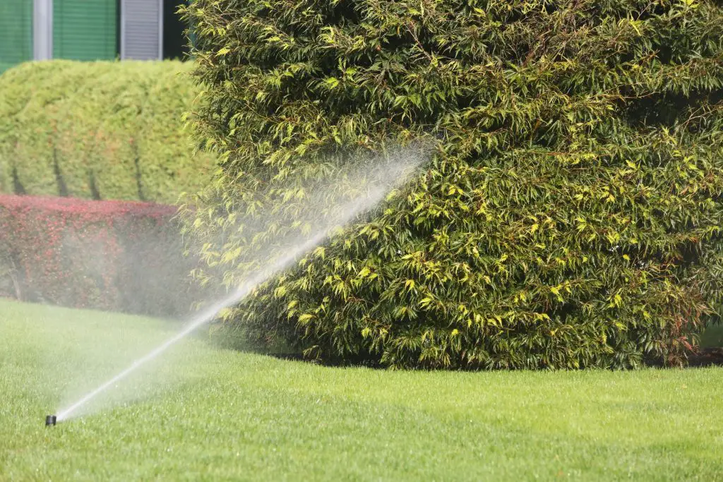 automated garden sprinkle to deter squirrelsr