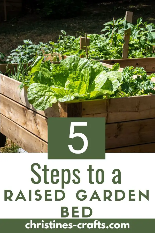 5 steps to a raised garden bed 