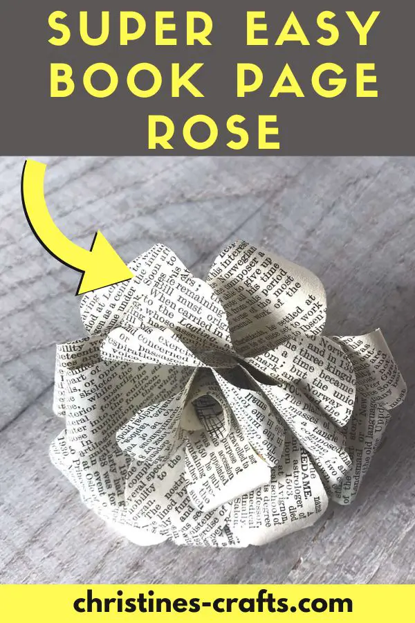 book page rose 