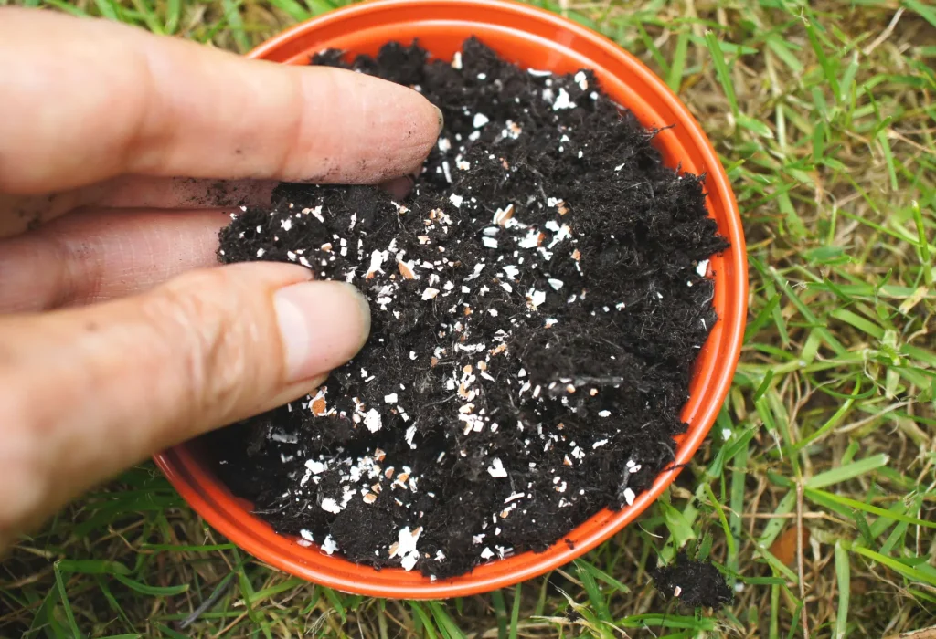 eggshells in compost