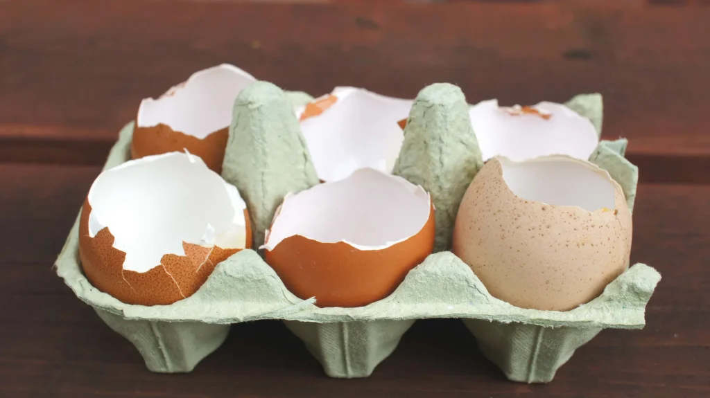 uses for eggshells