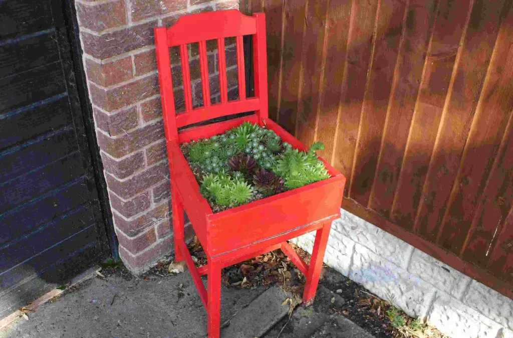 succulent chair