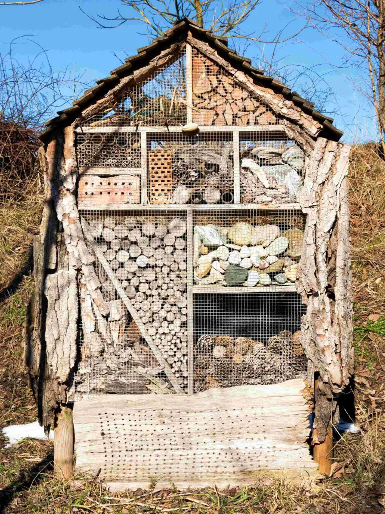 bug hotel