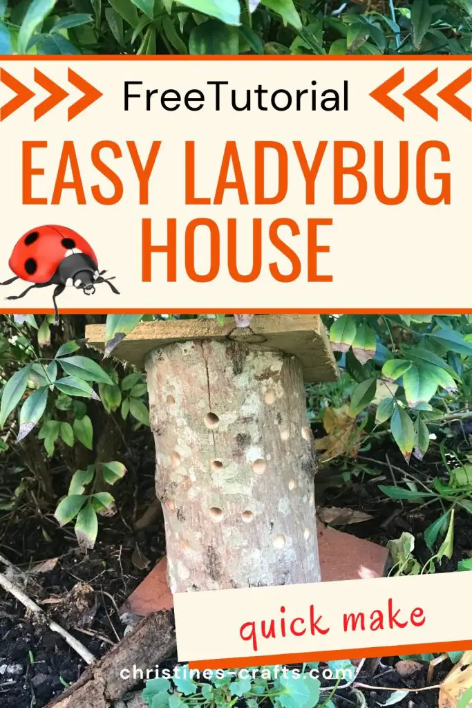 ladybird house pin