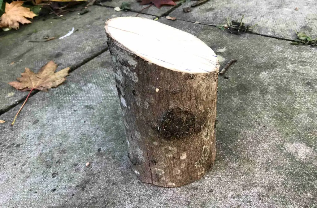 log cut for ladybug house