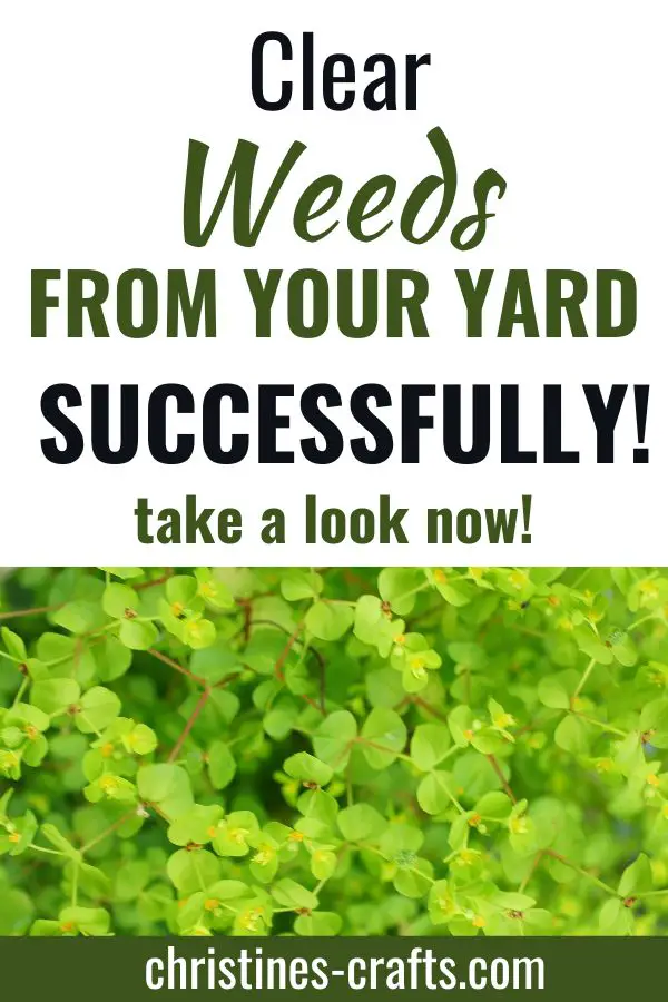 weed control Pinterest pin